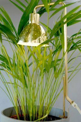 Model G98 Flower Lamp By Hans Agne Jakobsson For Haj Markaryd, 1960s photo vinterior