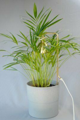 Model G98 Flower Lamp By Hans Agne Jakobsson For Haj Markaryd, 1960s photo vintage