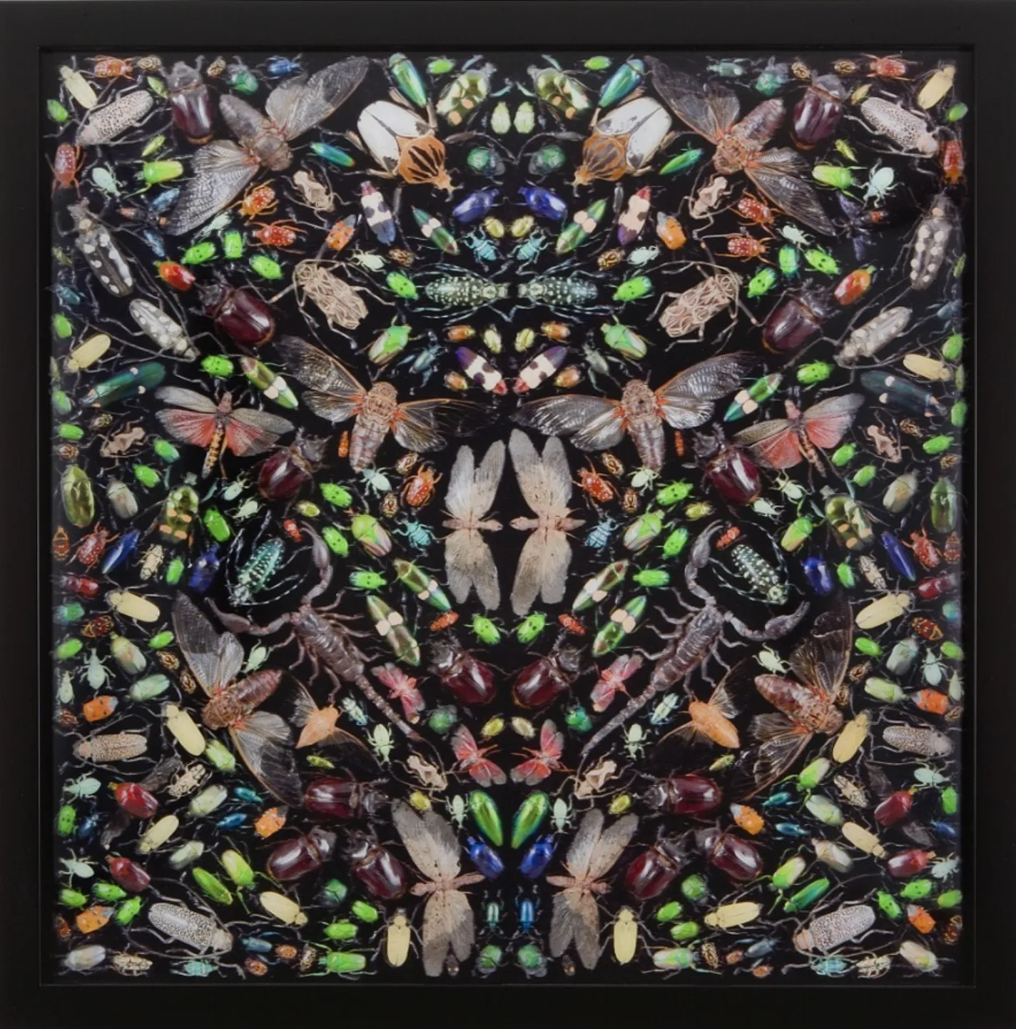 Damien Hirst Inferno