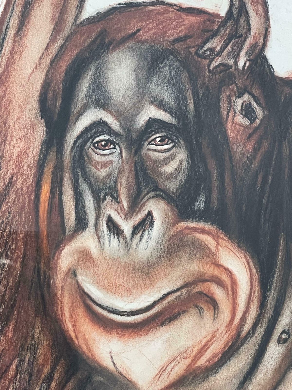 André Margat (1903 1999), "Orangutan", 1929 photo for sale