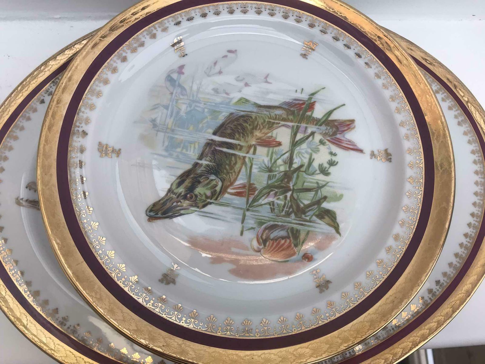 photo for sale Dinnerware Porcelaine Limoges Set Fish Entrée Service Set 10 Plates And 1 Oval Serving Plate Made Of Limoges Porcelain Seafood Dinner Plates