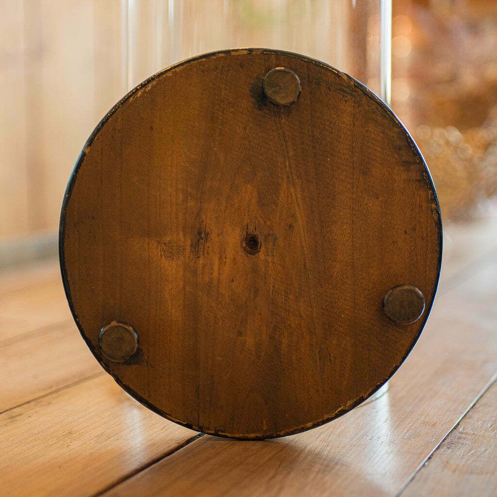 Antique Large Display Dome, English, Taxidermy, Specimen Showcase, Victorian photo vinterior
