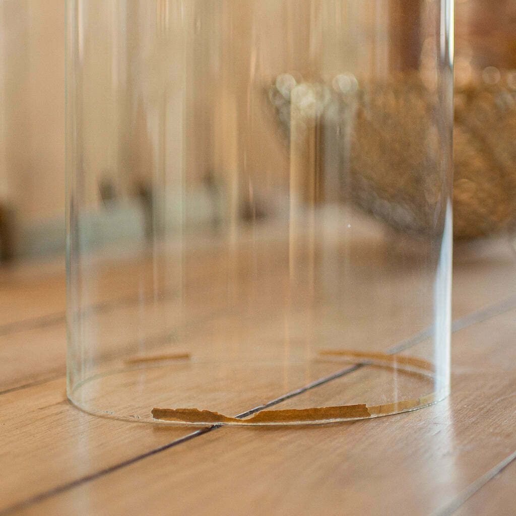 Antique Large Display Dome, English, Taxidermy, Specimen Showcase, Victorian photo buy