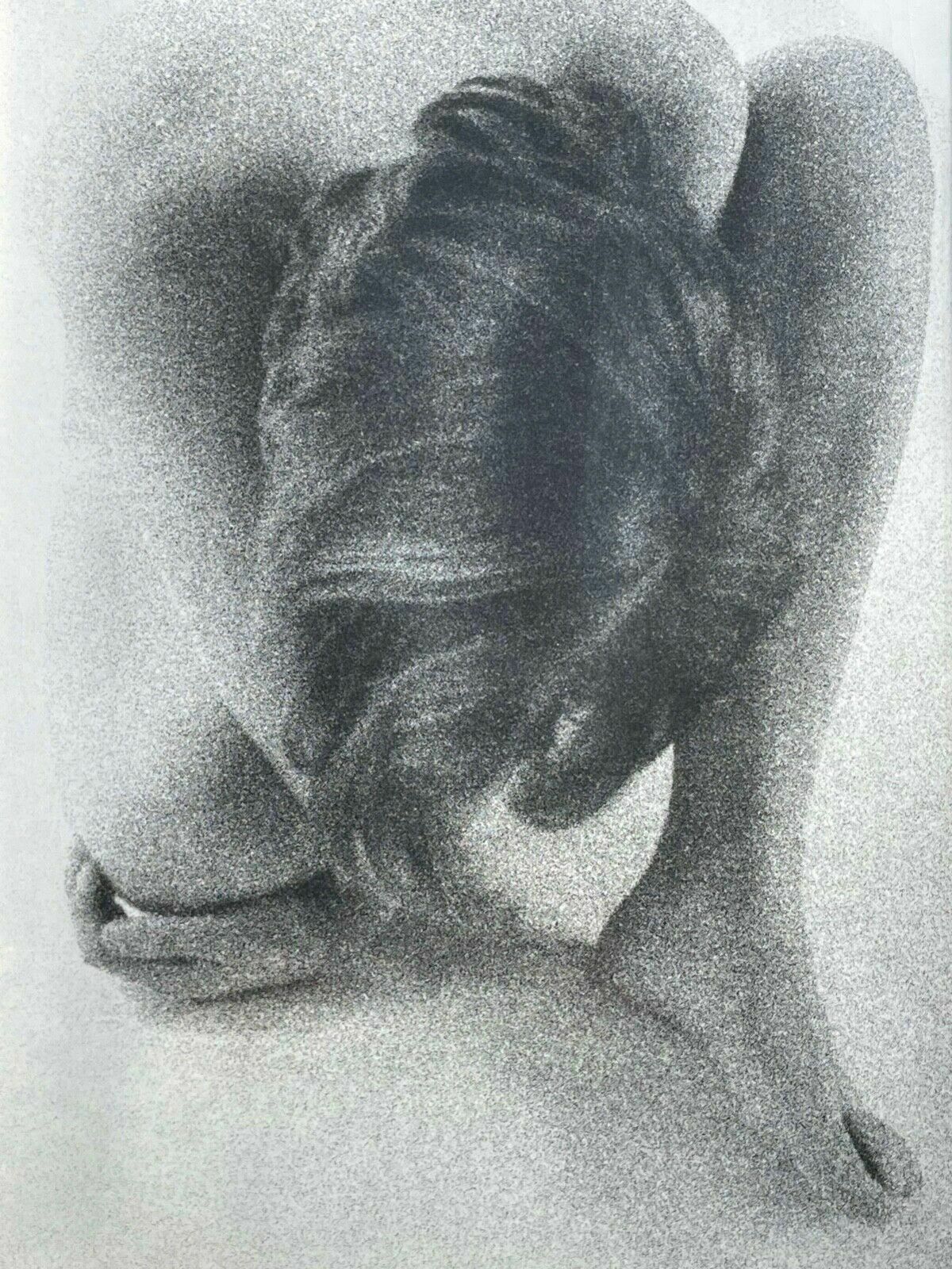 photo furniture Vintage 1980s Contemporary Female Nude Portrait Lithograph Photography Print.