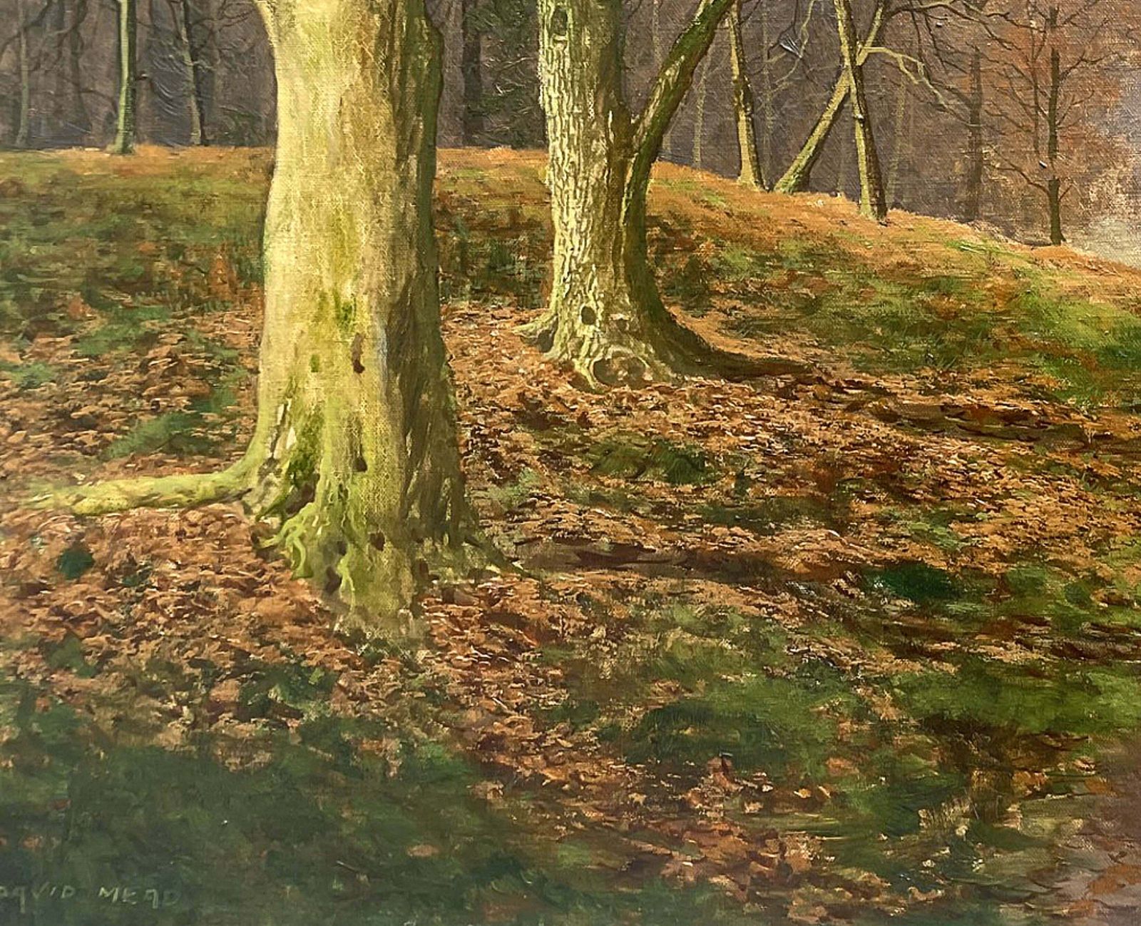 Superb Large Mid C20th Vintage Oil On Canvas   Woodland Landscape By David Mead (1906 1986) photo 225.0