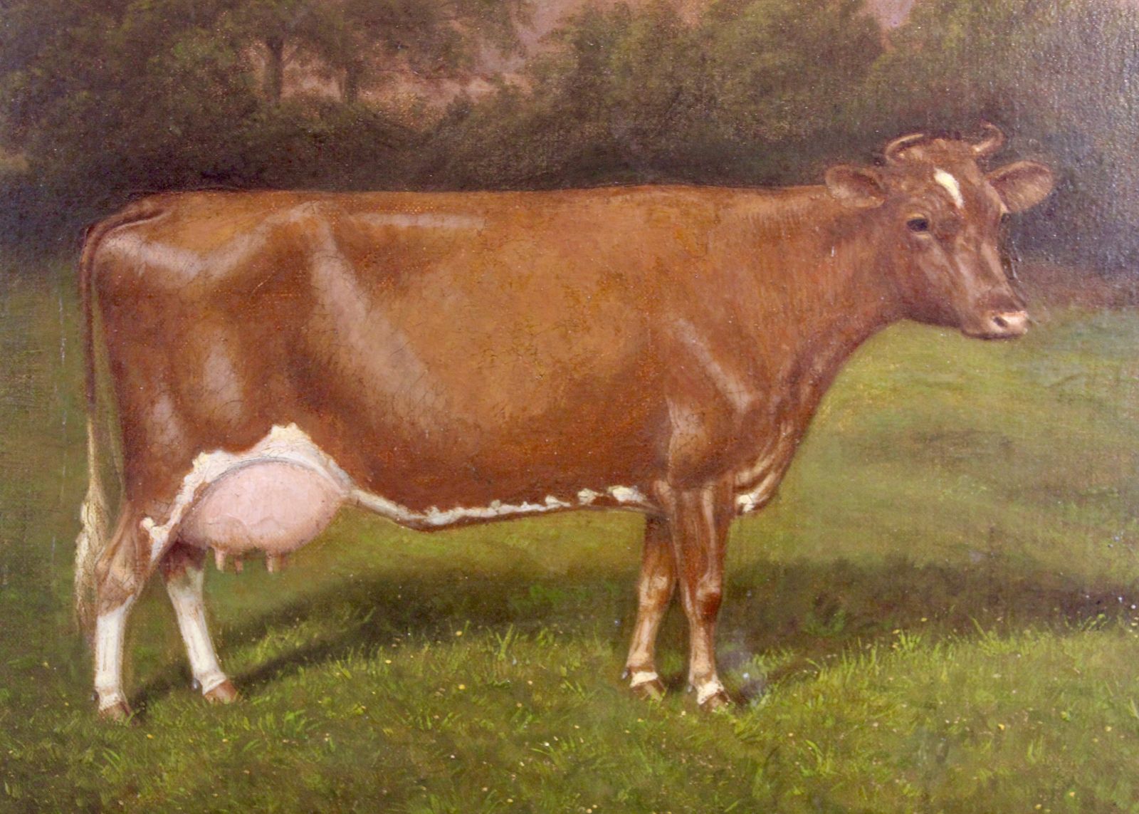 Stagenhoe Rose Of Gold Oil Painting By W.A. Clark Dated 1915 photo furniture