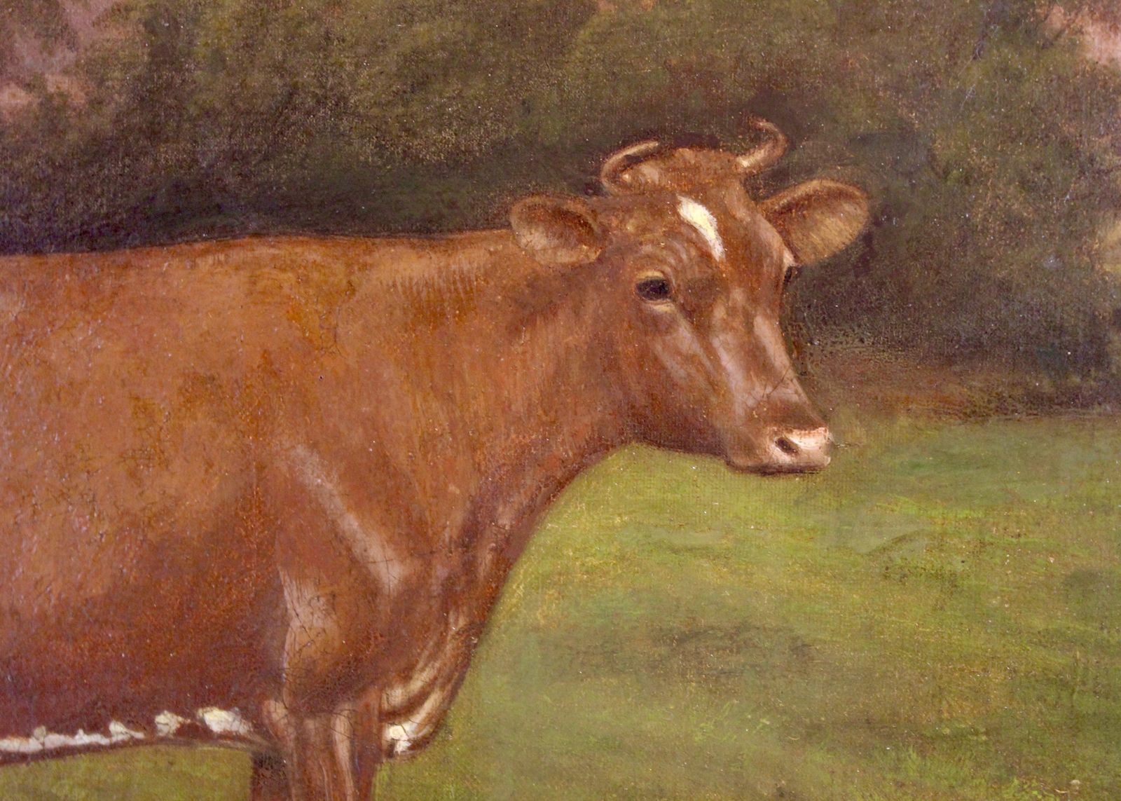 Stagenhoe Rose Of Gold Oil Painting By W.A. Clark Dated 1915 photo Art