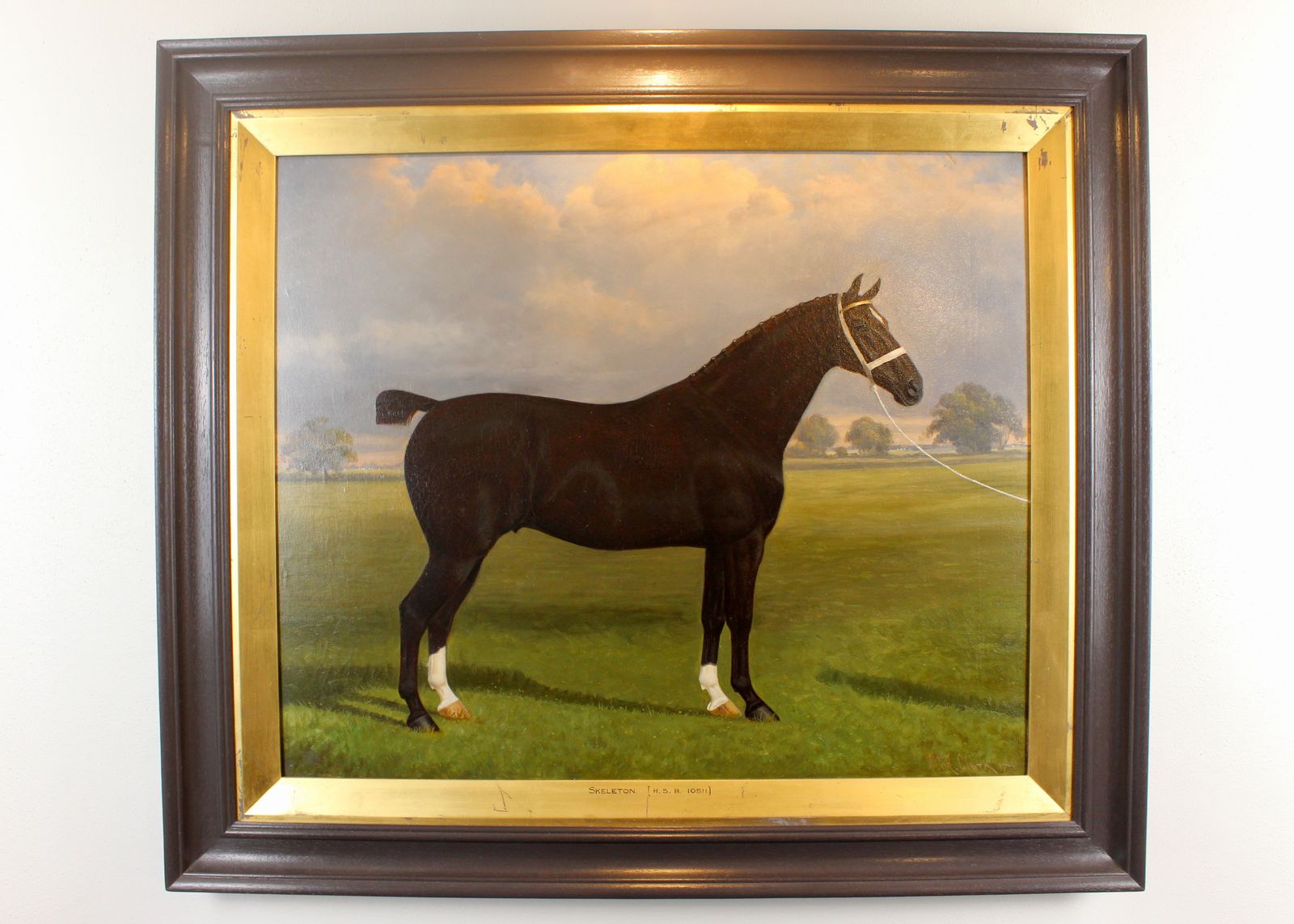 Pair Of Stallion & Mare Hackney Champion Oil Paintings By W.A. Clark photo furniture