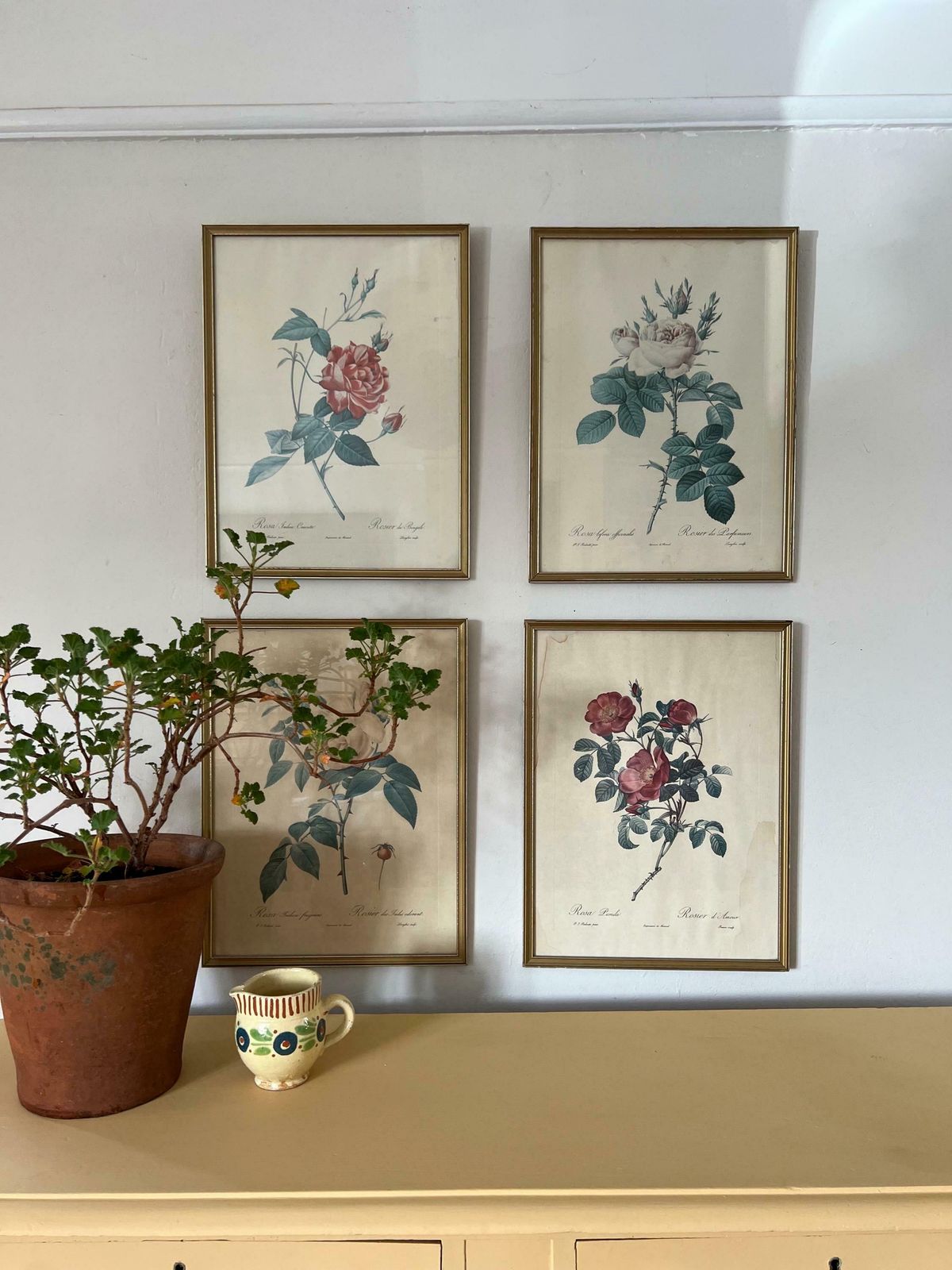 Vintage Set Of Botanical Painting photo furniture
