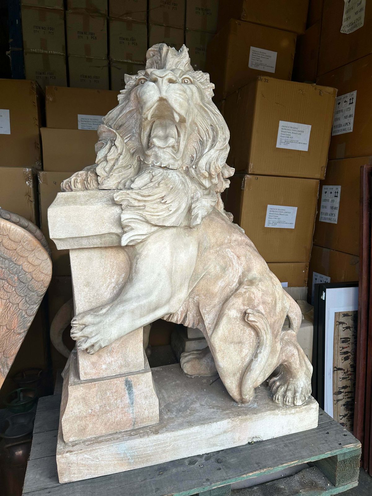 Pair Of, Italian Marble Lions Earley 1900’s, With Marble Plinths (Priced Individually) photo for sale