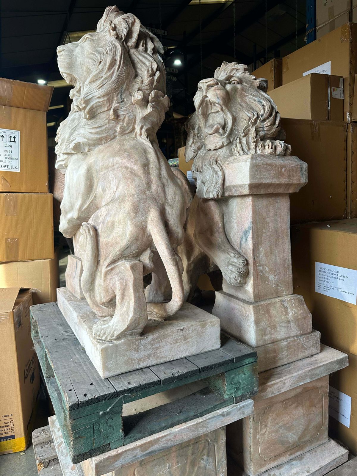 Pair Of, Italian Marble Lions Earley 1900’s, With Marble Plinths (Priced Individually) photo vinterior