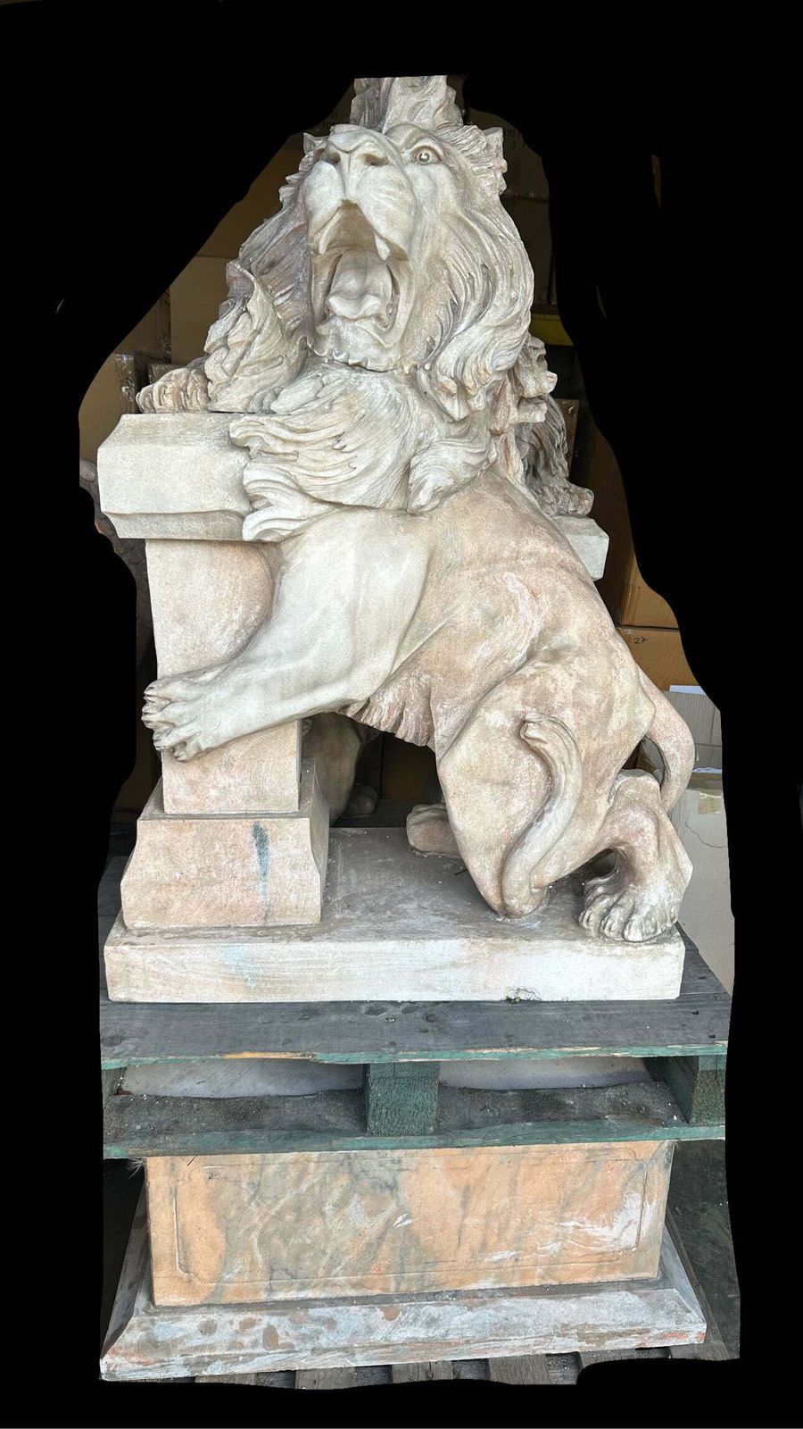 photo furniture Pair Of, Italian Marble Lions Earley 1900’s, With Marble Plinths (Priced Individually)