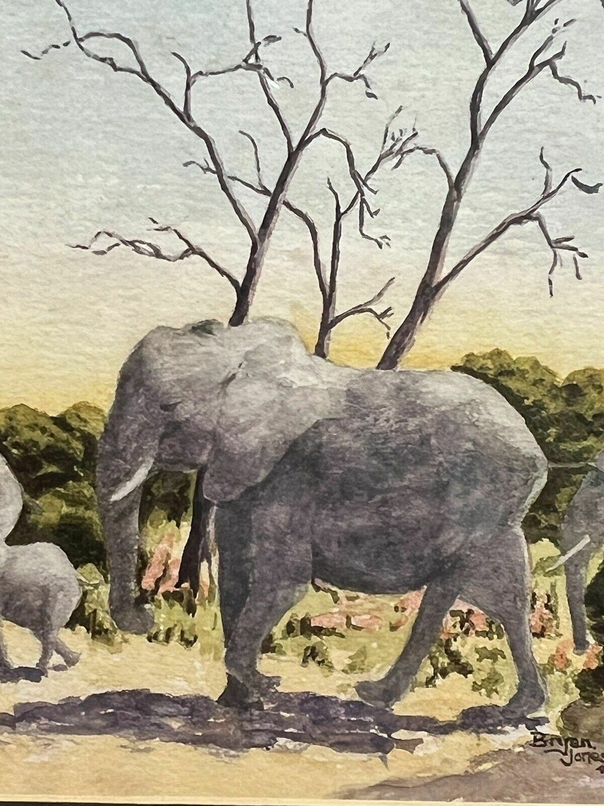photo for sale Herd Of Elephants Watercolour By Renowned Artist Brian E Jones