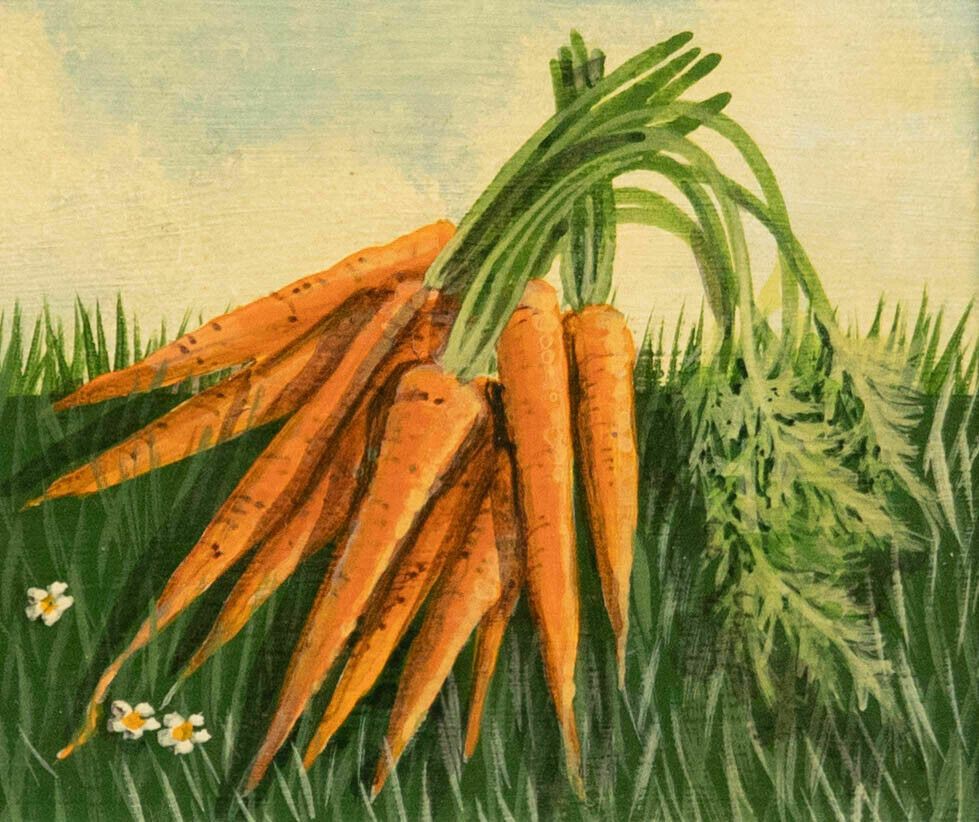 Jane Robinson Framed Contemporary Oil, Carrots By The Bunch photo furniture