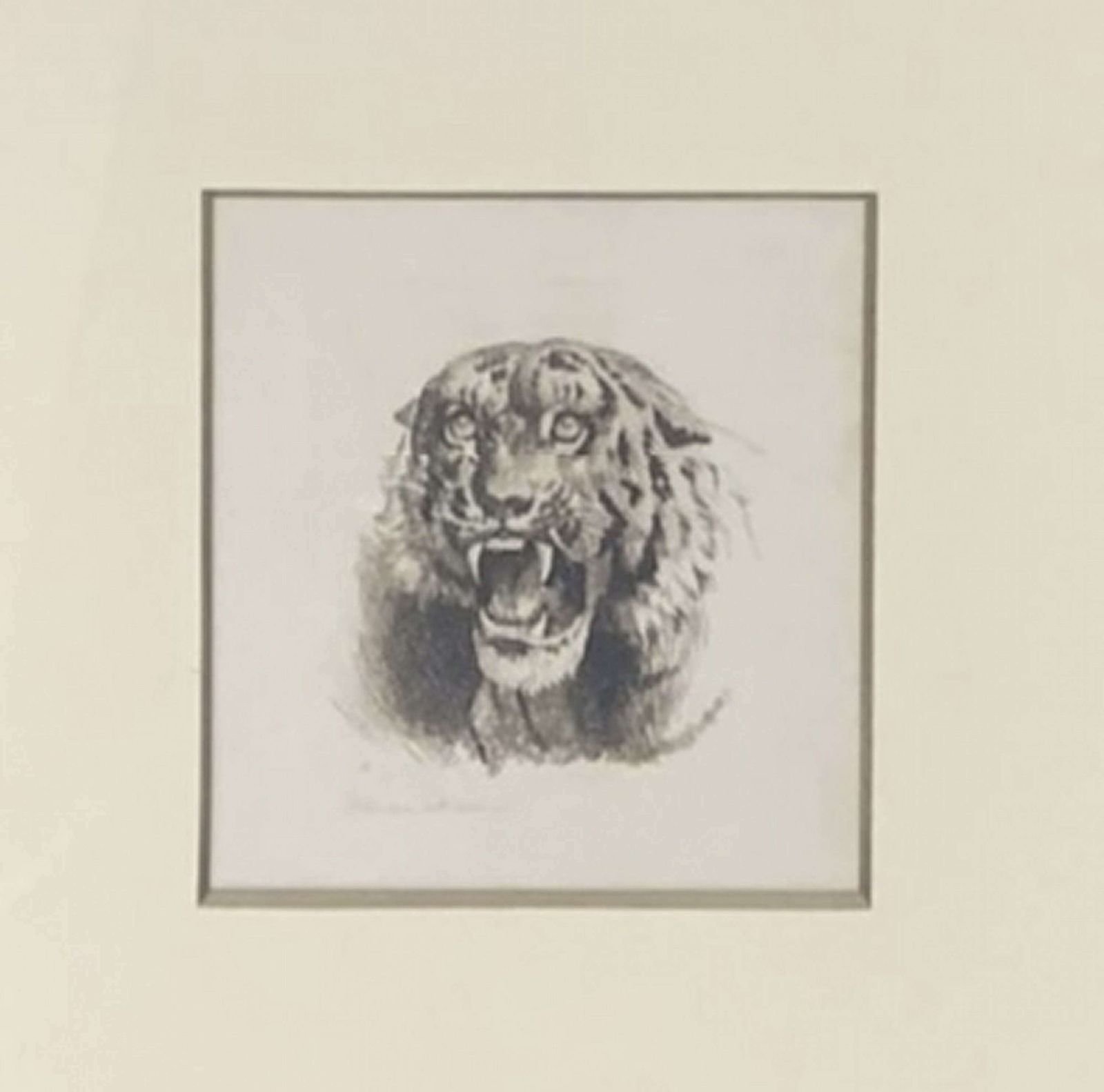 Herbert Dicksee Pair Rare Miniature Etchings Lion And Tigress photo 2275.0