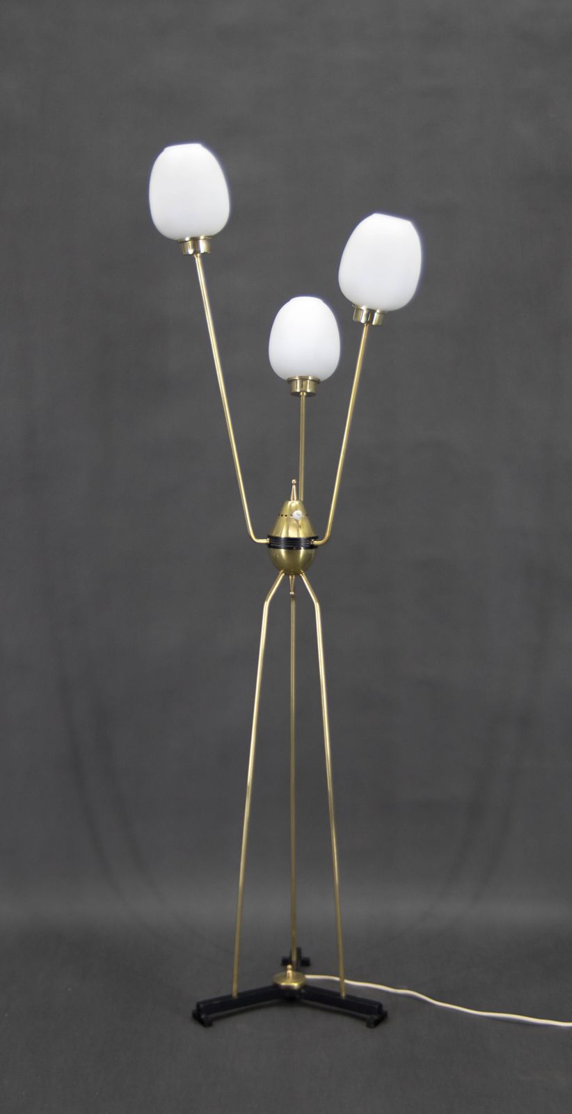 Mid Century Floor Lamp, Italy, 1960s