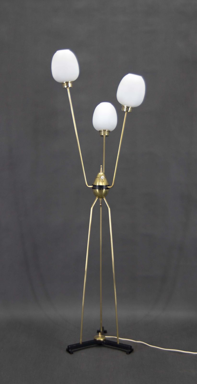 Mid Century Floor Lamp, Italy, 1960s photo furniture