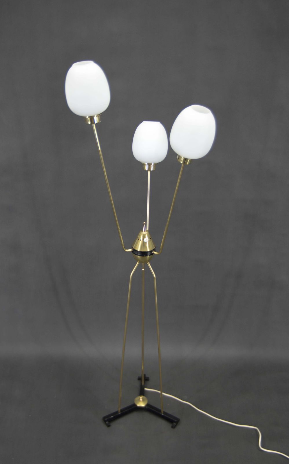 Mid Century Floor Lamp, Italy, 1960s photo for sale