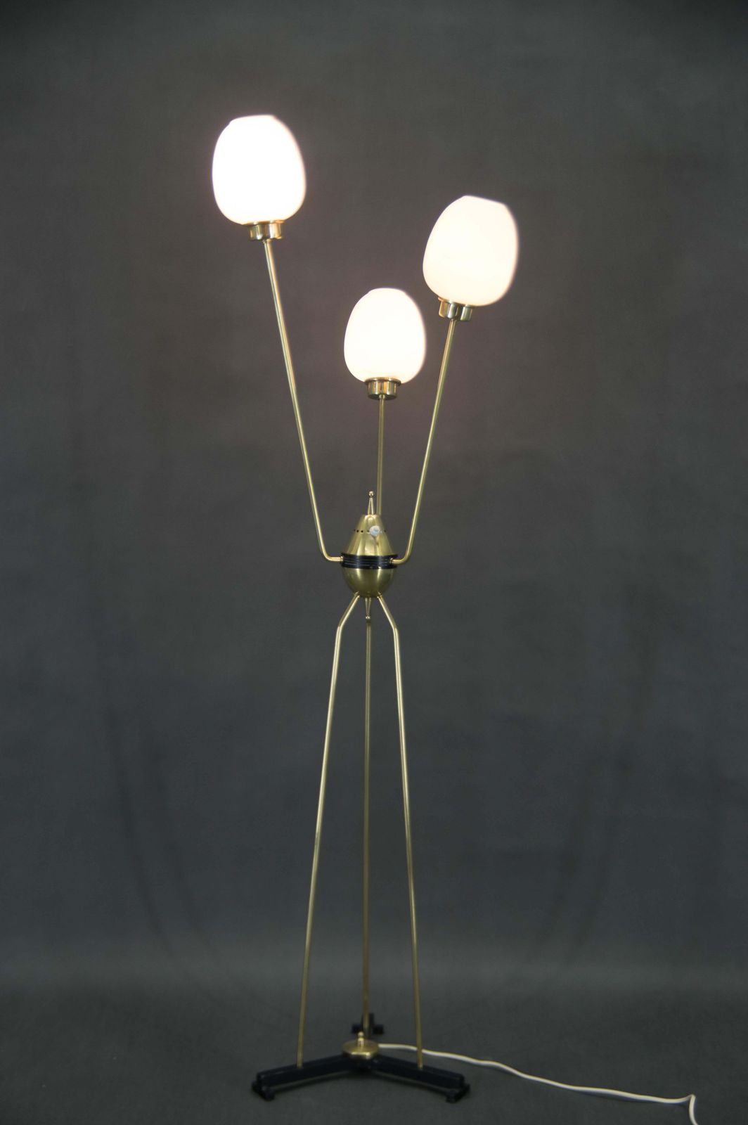 Mid Century Floor Lamp, Italy, 1960s photo Lighting