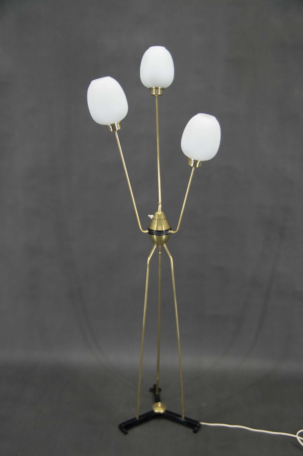 Mid Century Floor Lamp, Italy, 1960s photo vintage
