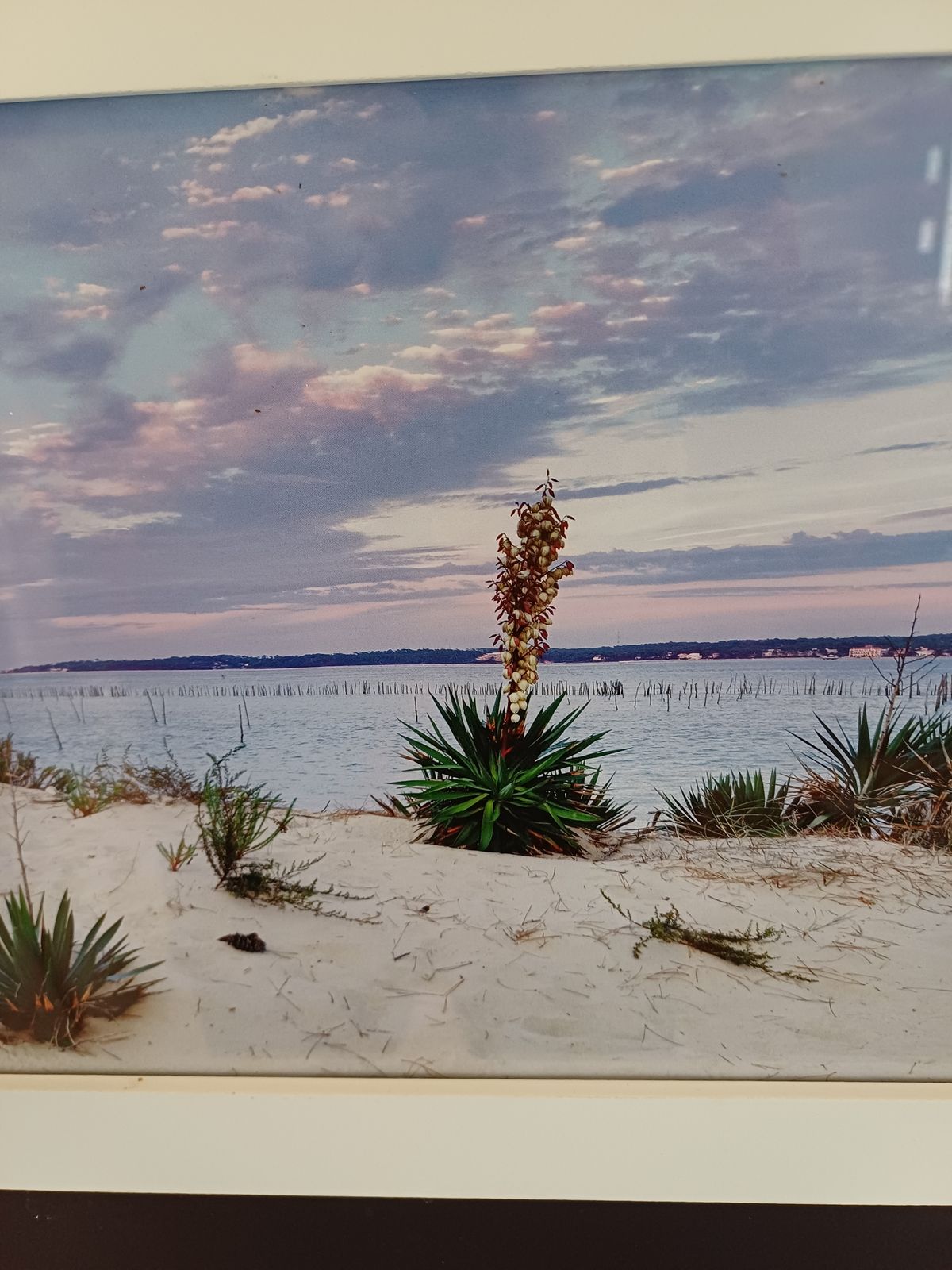 Framed Photo Of The Arcachon Basin By Jean Claude Monin photo furniture