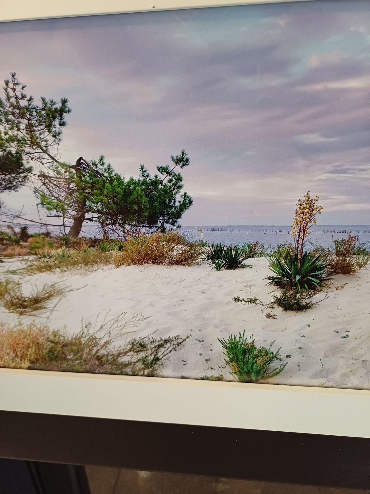 Framed Photo Of The Arcachon Basin By Jean Claude Monin photo vinterior