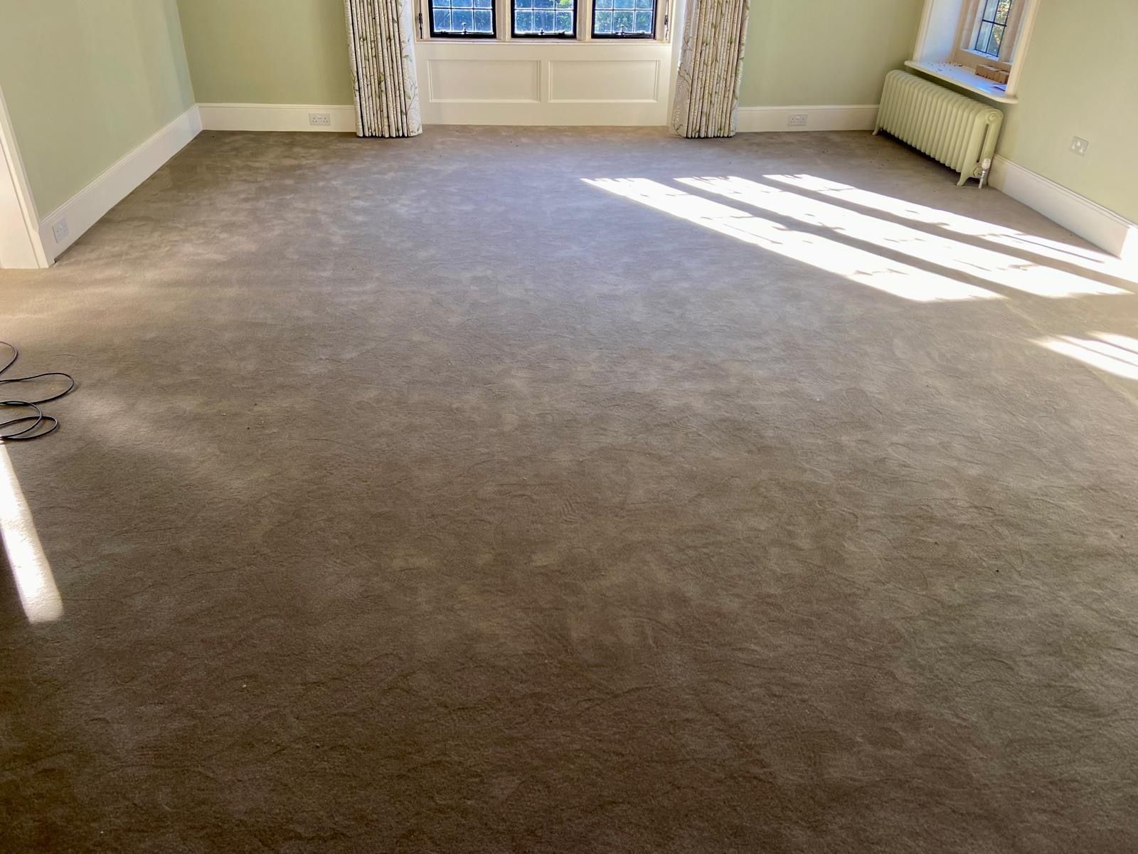 New Very Large Carpet, Newland Royal In Victor photo for sale