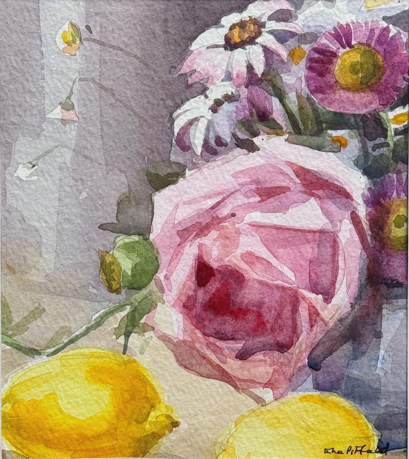 Original Mid Century Still Life Watercolour Painting  Rose And Lemons  Ena Pitfield  (1917 2012)