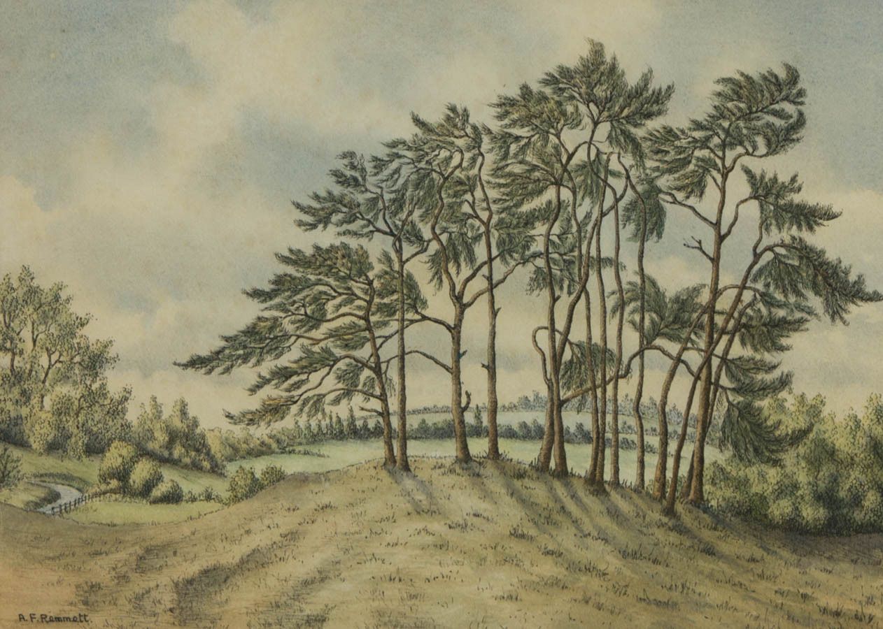A.F. Remmett   Signed & Framed Mid 20th Century Watercolour, Breezy Trees photo furniture