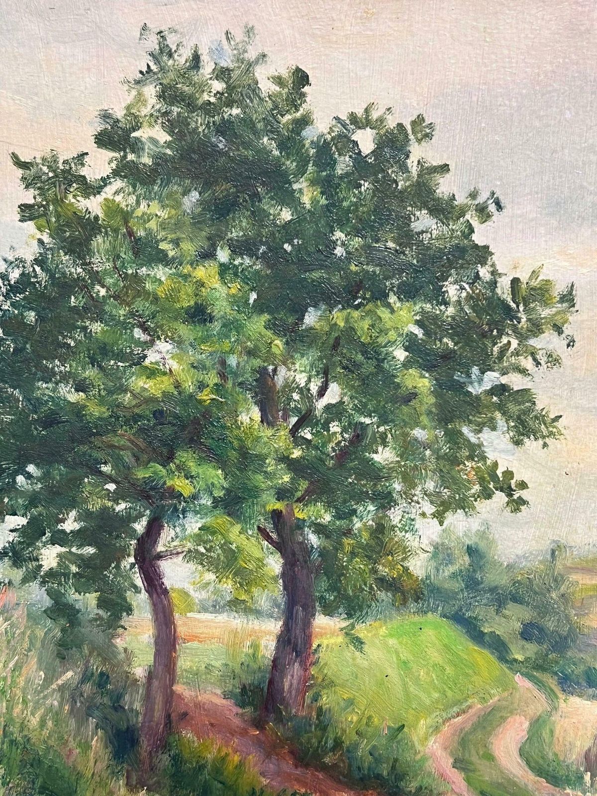 Regine Davidmid 20th Century 1950's French Post Impressionist Oil September Rural Farm Field1950's photo 641.0