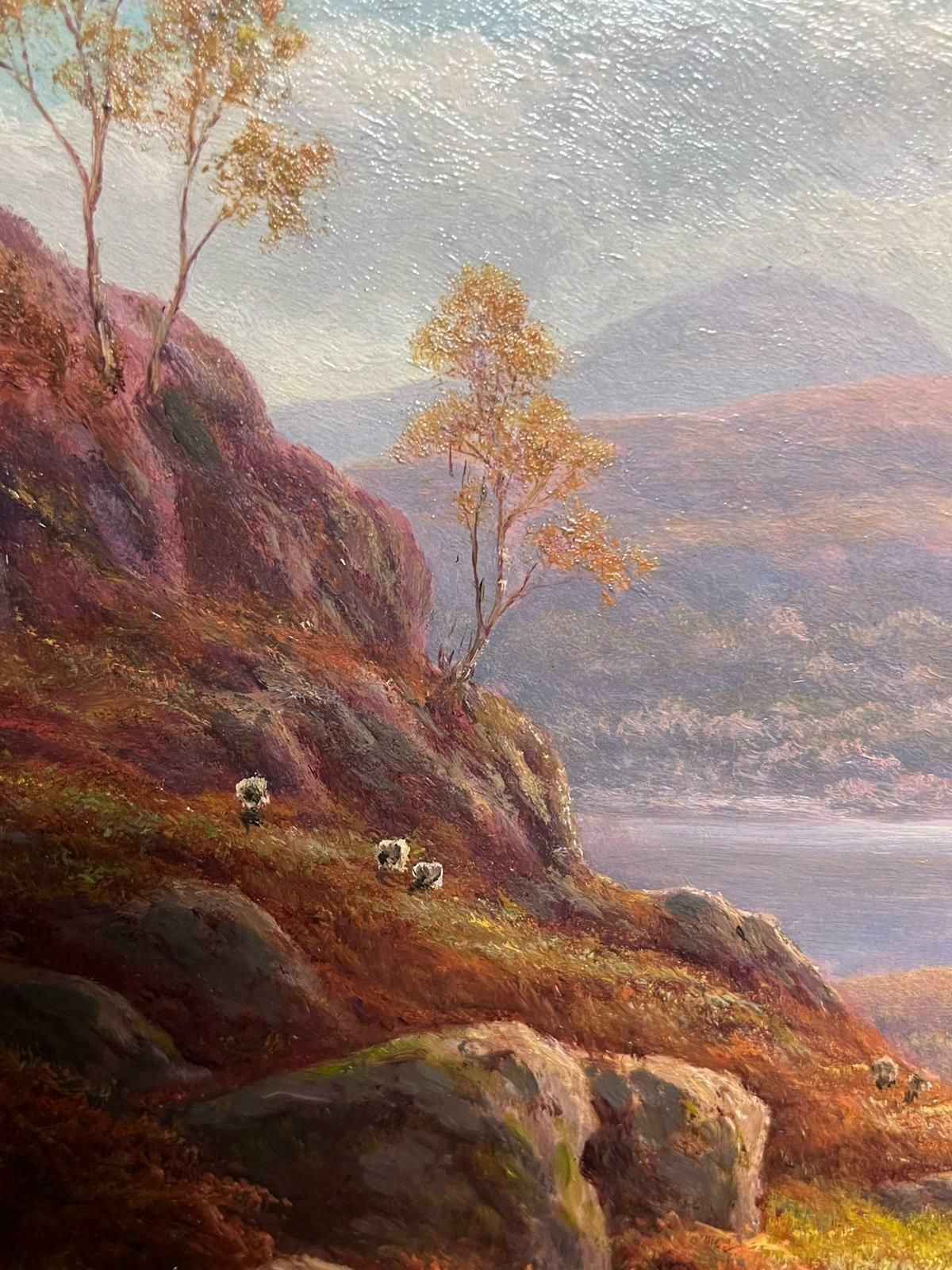 Everett Watson Mellorantique Scottish Oil Autumn Highlands Tranquil Landscape With Sheep Oil Painting photo Art