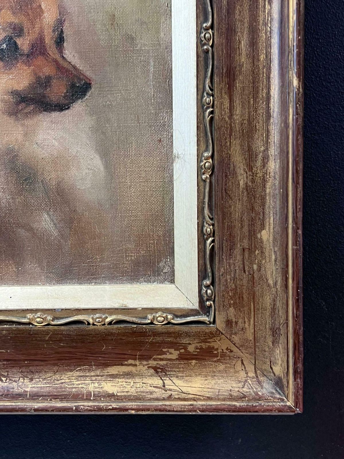 English Dog Artistantique English Oil Painting Portrait Of Pomeranian Dog 19th Century Framed19th Century photo buy