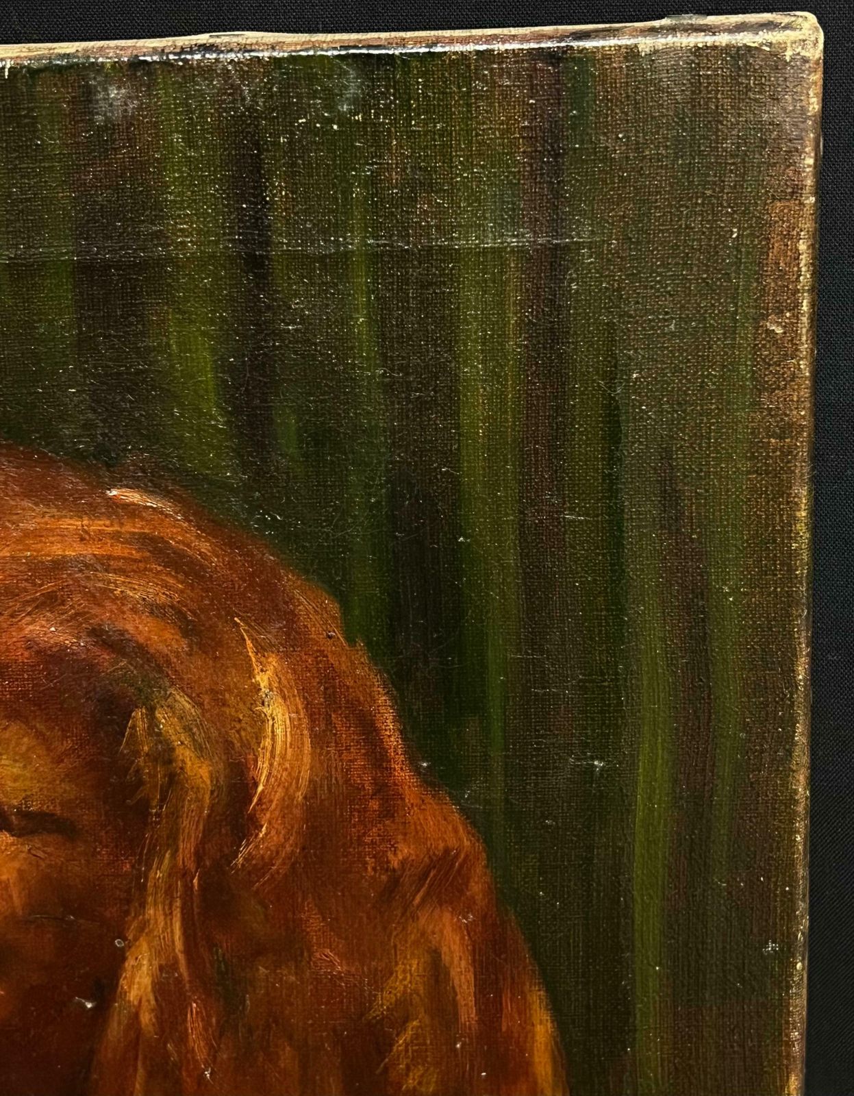 English School20th Century Portrait Of A Red Setter/ Spaniel Dog Oil Painting20th Century photo Art