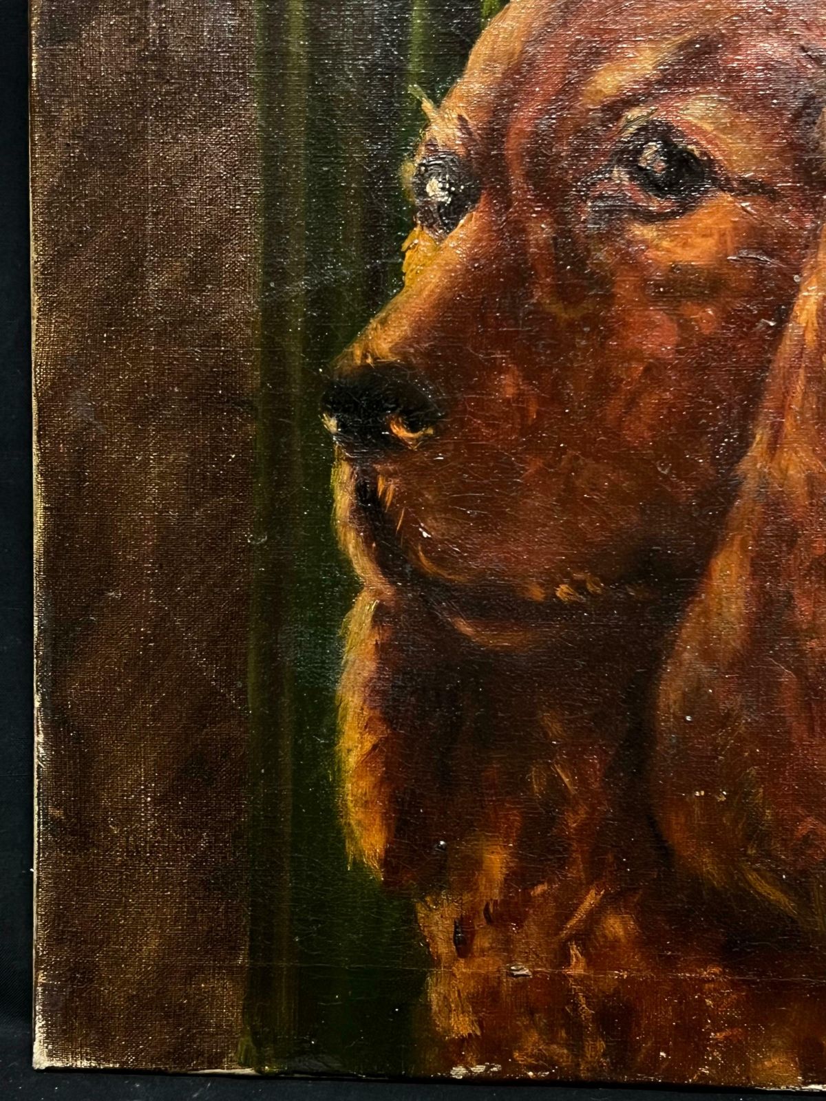English School20th Century Portrait Of A Red Setter/ Spaniel Dog Oil Painting20th Century photo buy