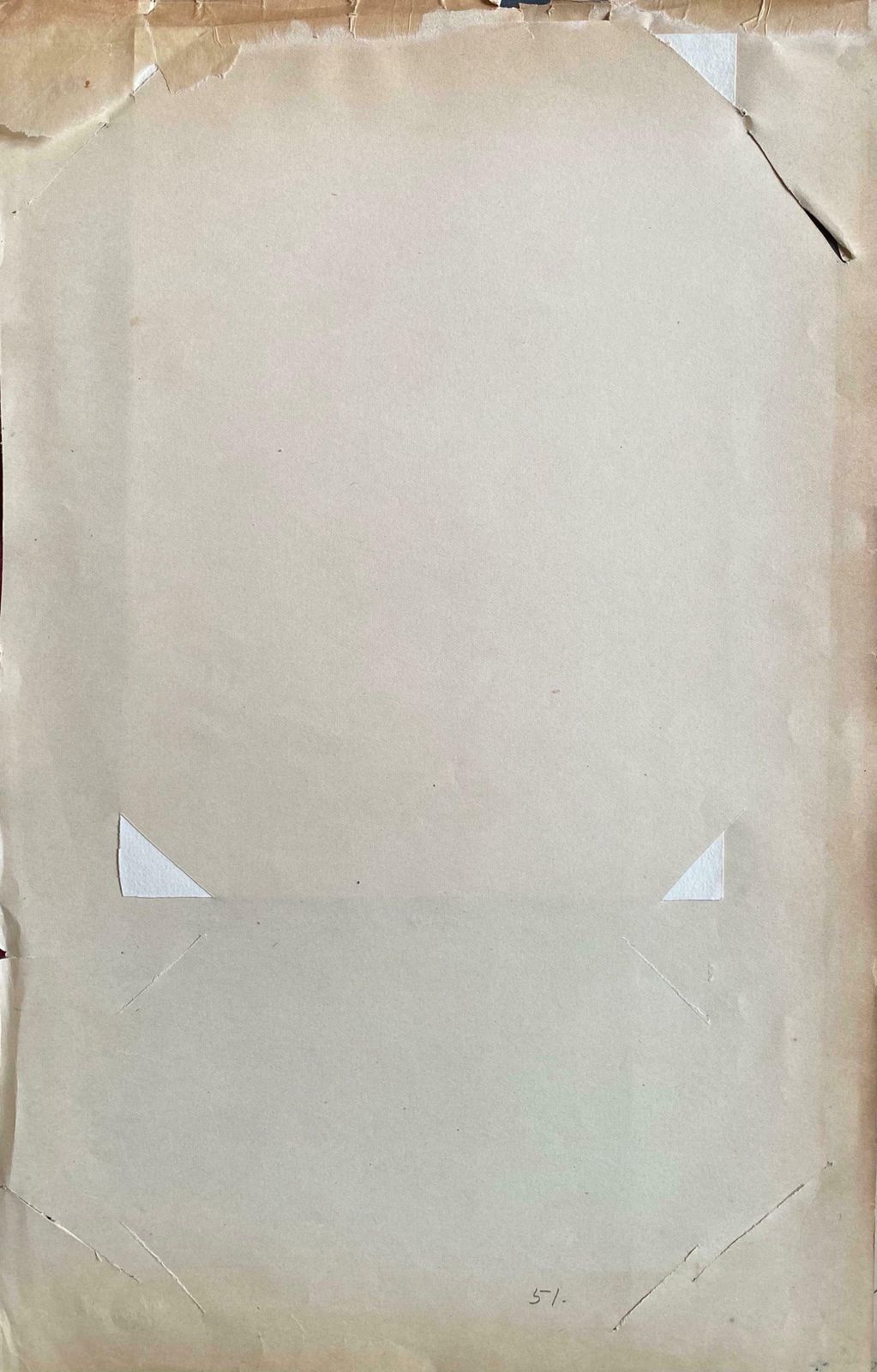 Caroline Worsleyfine Antique British Botannical Watercolour Painting, Circa 1900's C.1900's photo 199.0