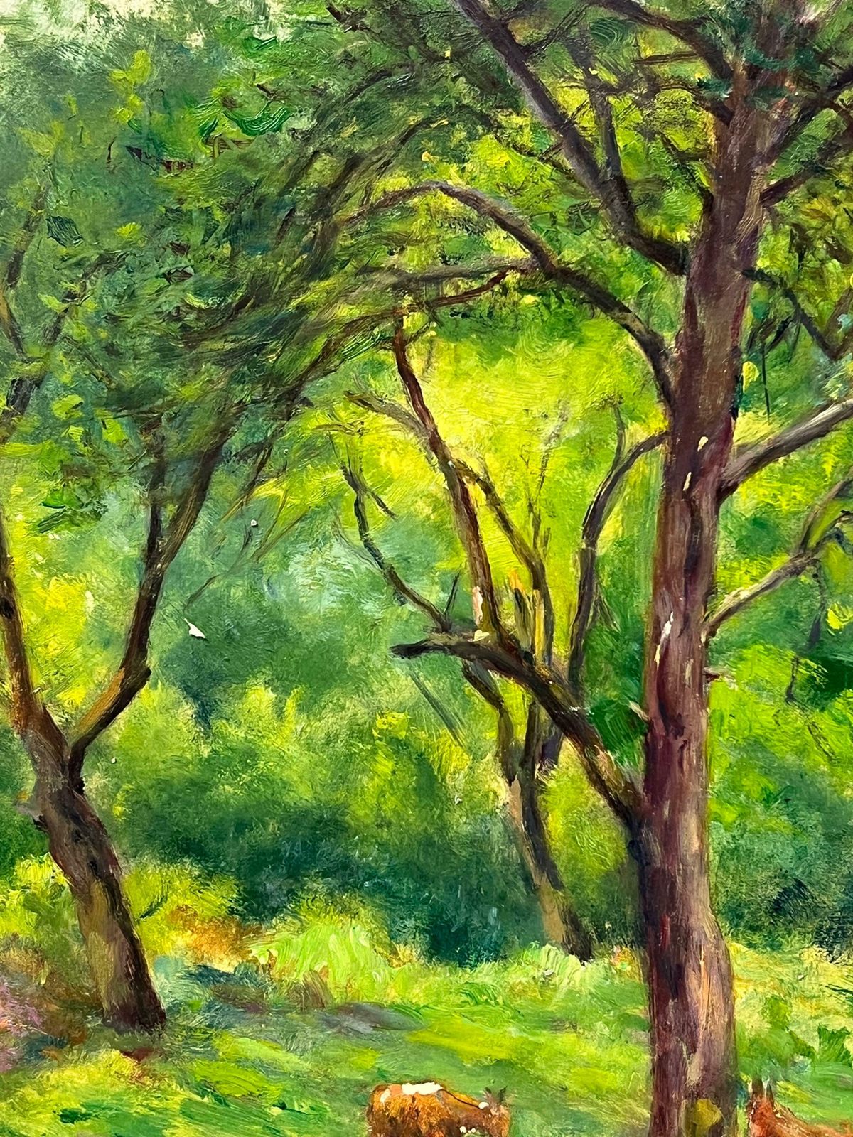 Regine Davidpeaceful Woodland Scene With Grazing Deer Amidst Verdant Trees Forest Landscape1950's photo for sale