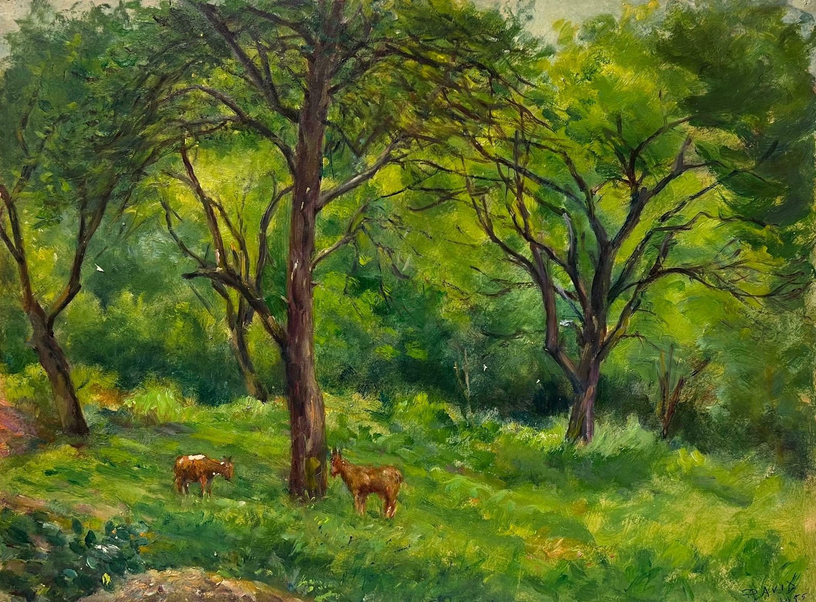 Regine Davidpeaceful Woodland Scene With Grazing Deer Amidst Verdant Trees Forest Landscape1950's photo 475.0