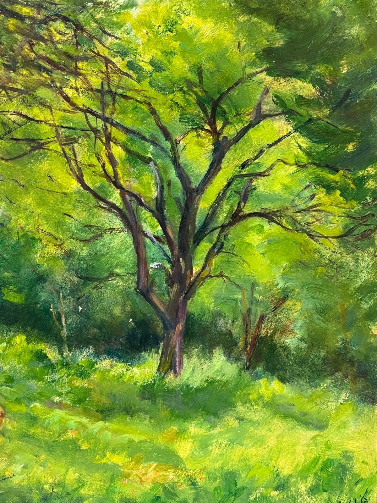 Regine Davidpeaceful Woodland Scene With Grazing Deer Amidst Verdant Trees Forest Landscape1950's photo vinterior