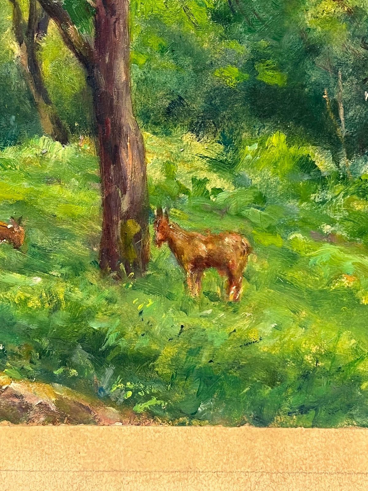 Regine Davidpeaceful Woodland Scene With Grazing Deer Amidst Verdant Trees Forest Landscape1950's photo buy