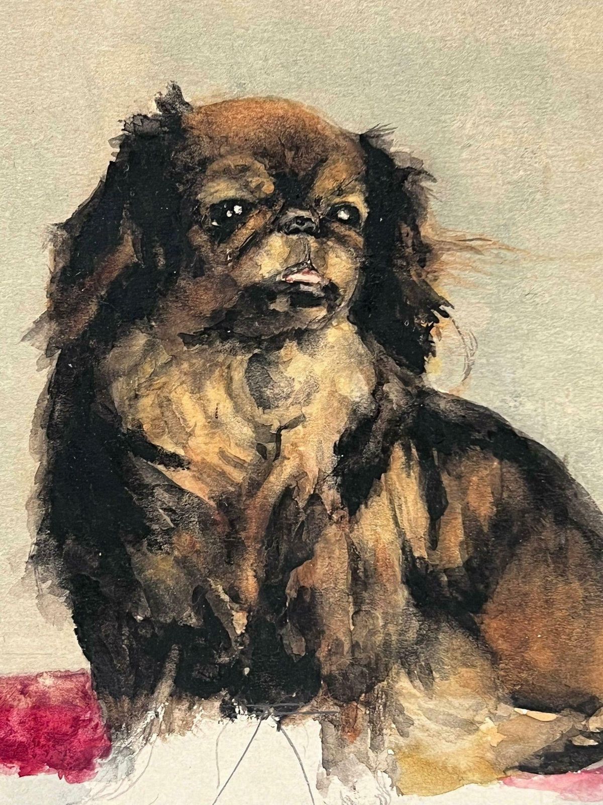 English Dog Paintingportrait Of A Pekingese Dog Charming Antique English Watercolour Painting19th Century photo for sale