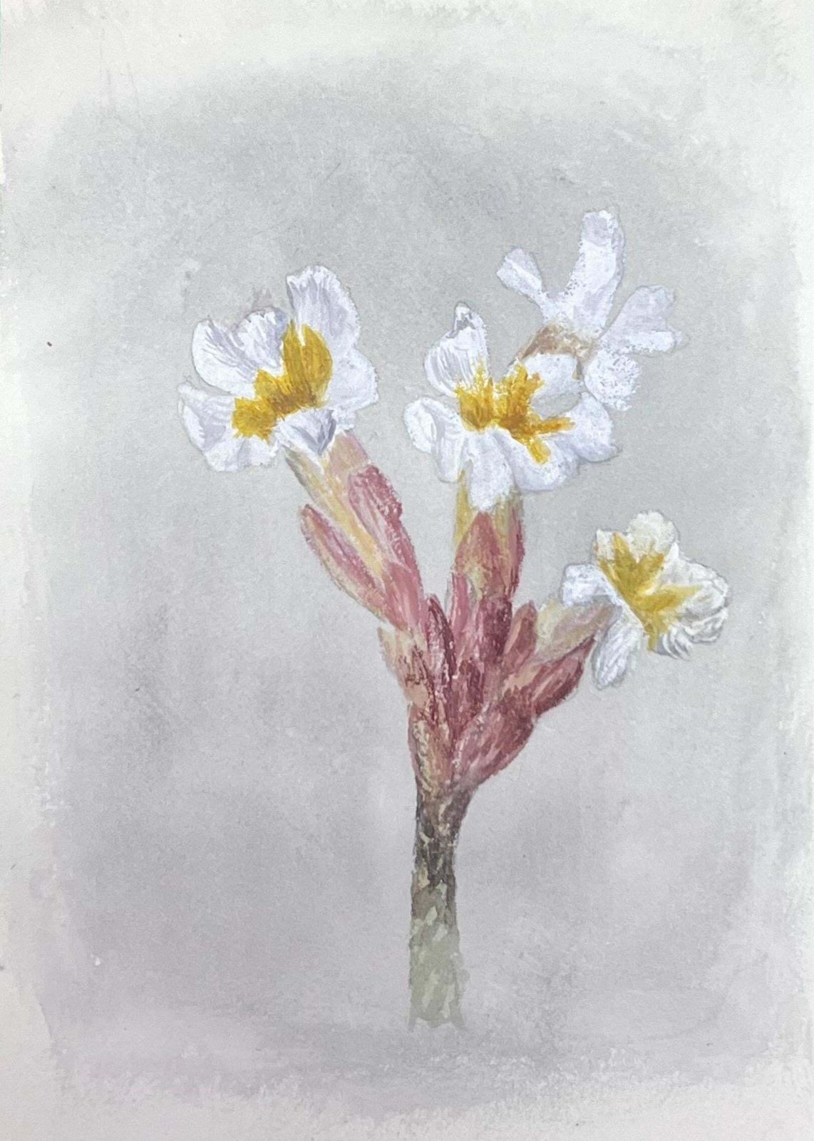 Caroline Worsleyfine Antique British Botanical Watercolour Painting Narcissus Flowerc.1900's photo furniture