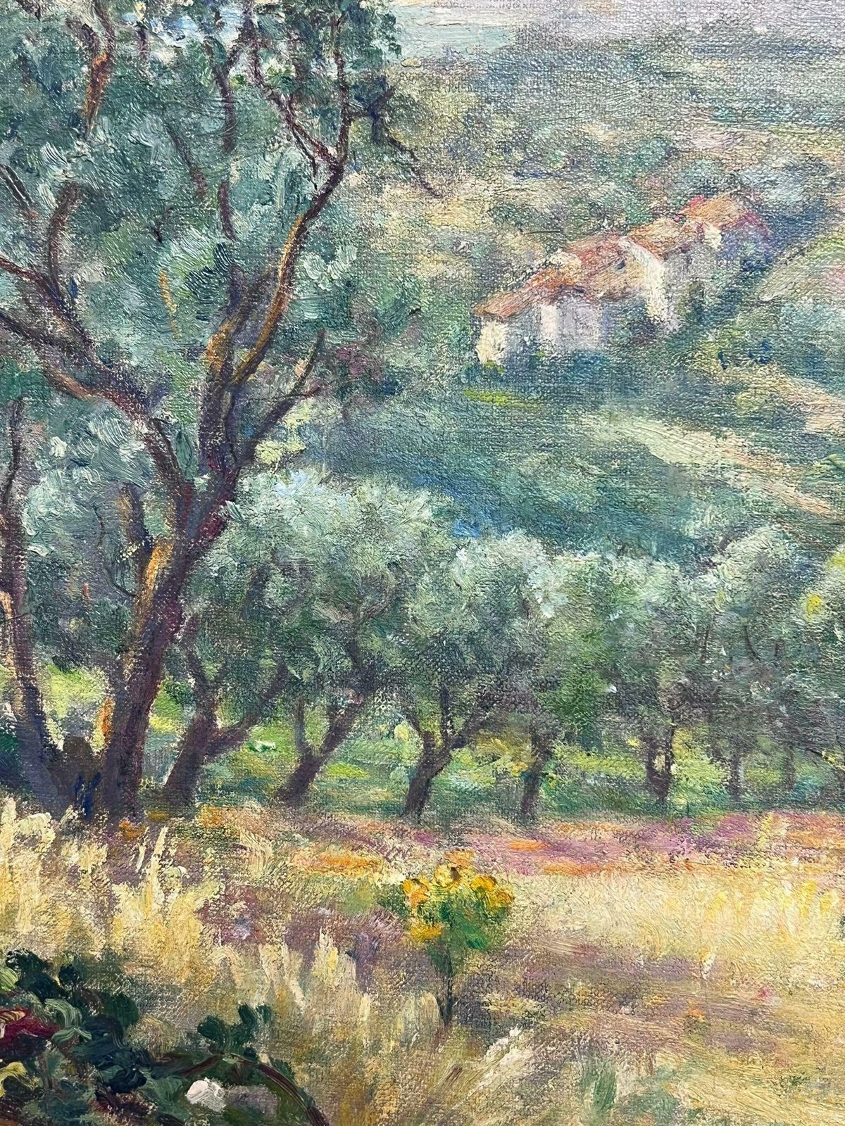 Regine Davidfrench Olive Grove In A Sunlit Valley Serene Oil Painting1950's photo 402.0