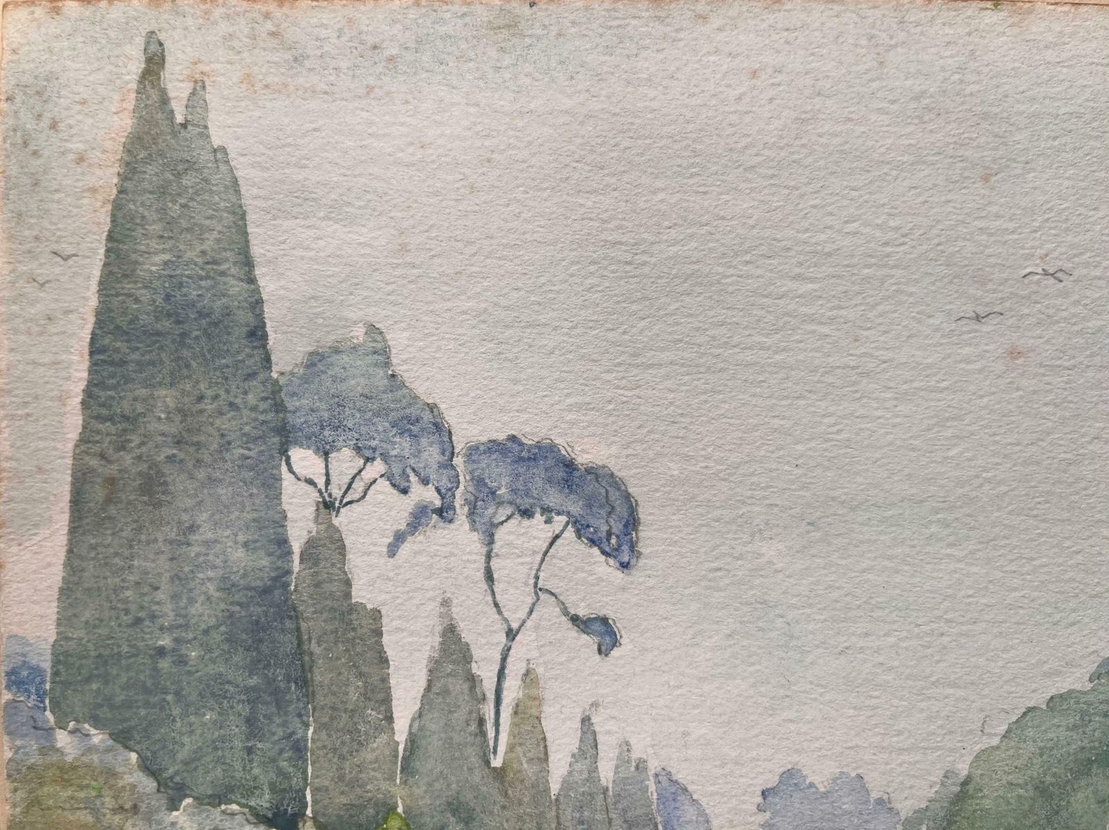 Ian G. Walker Finely Detailed British Watercolor Of A Landscape With Trees And Bushes1974 photo for sale