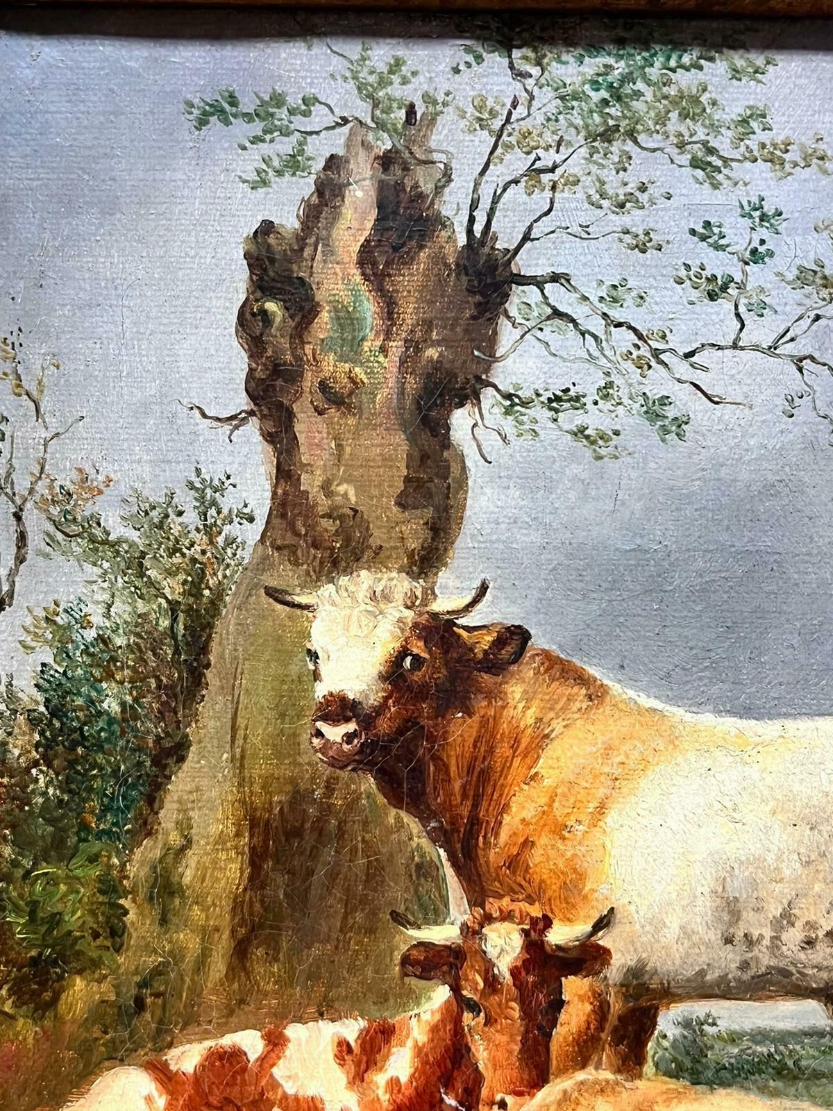 Antique Dutch Oil19th Century Dutch School Oil Landscape With Bull And Two Cows In Meadow19th Century photo 1527.0