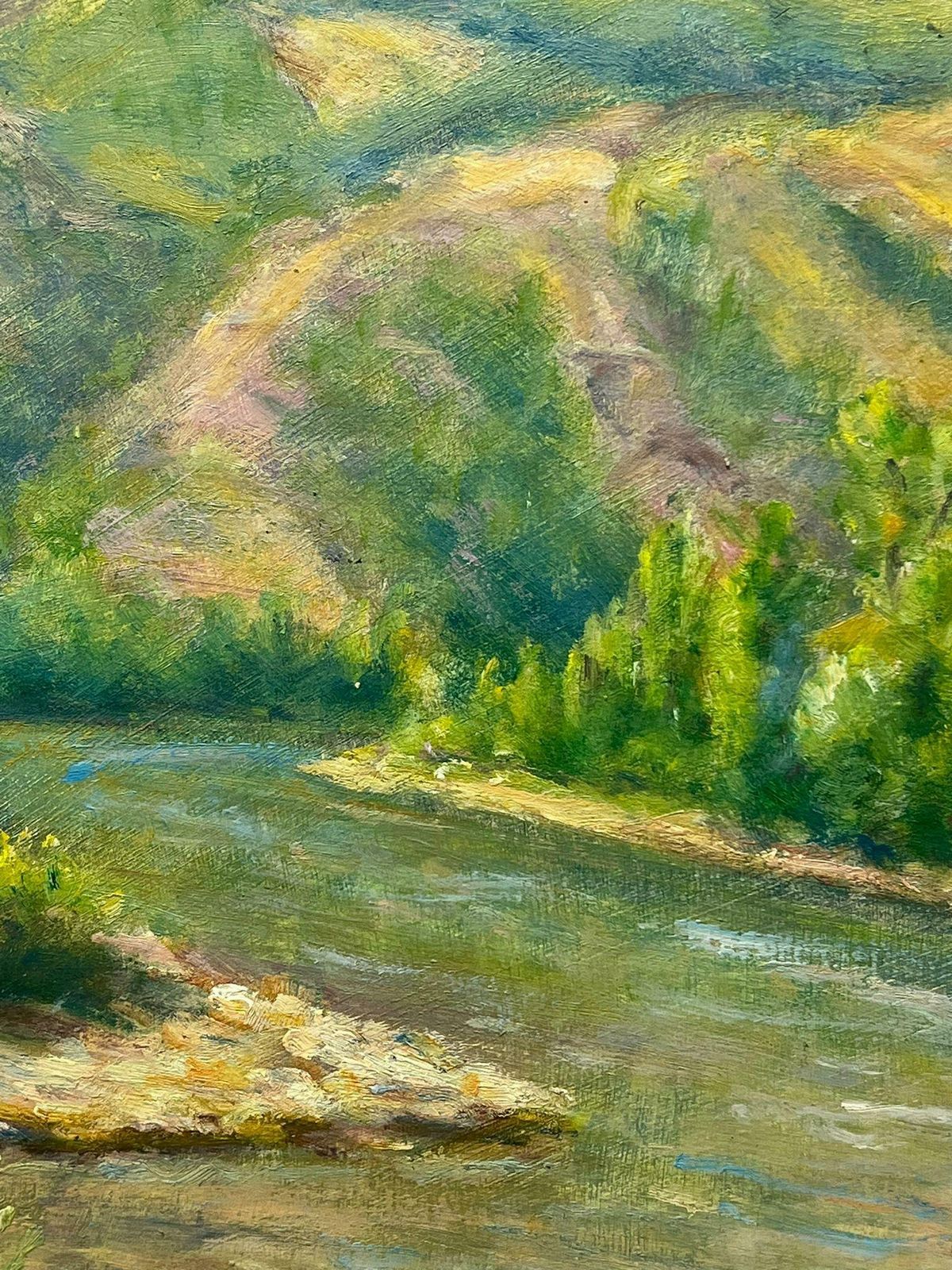 Regine Davidmid 20th Century 1950s French Post Impressionist Oil Green River Gorge Landscape1950's photo for sale
