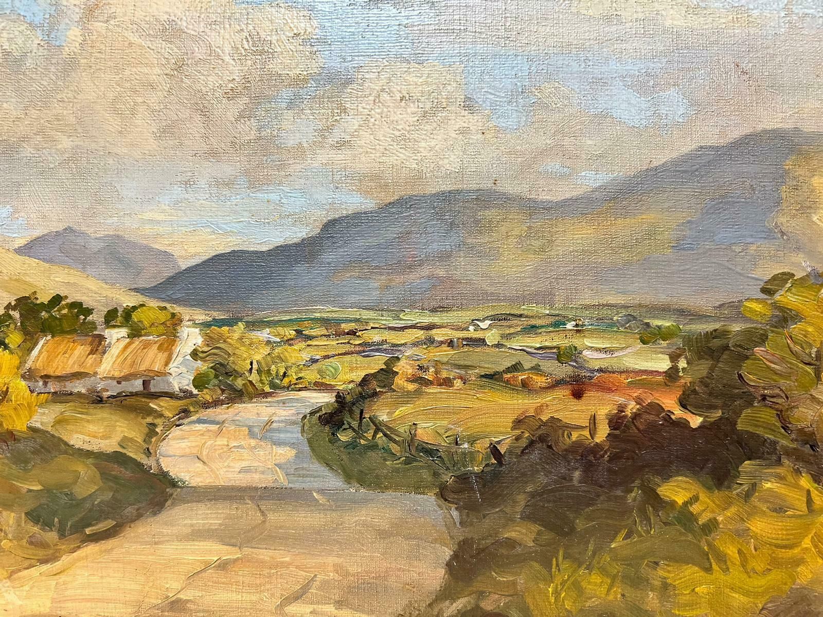 Irish Artistthe Mourne Mountains County Down Ireland Signed Original Irish Oil Painting photo 1600.0