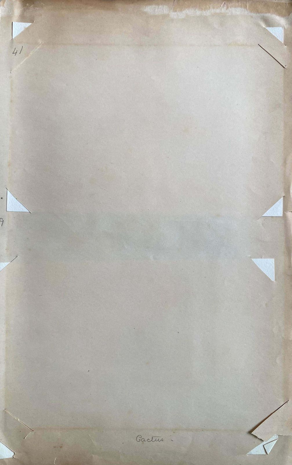 Caroline Worsleyset Of Two Fine Antique British Botannical Watercolour Painting, Circa 1900's C.1900's photo vinterior