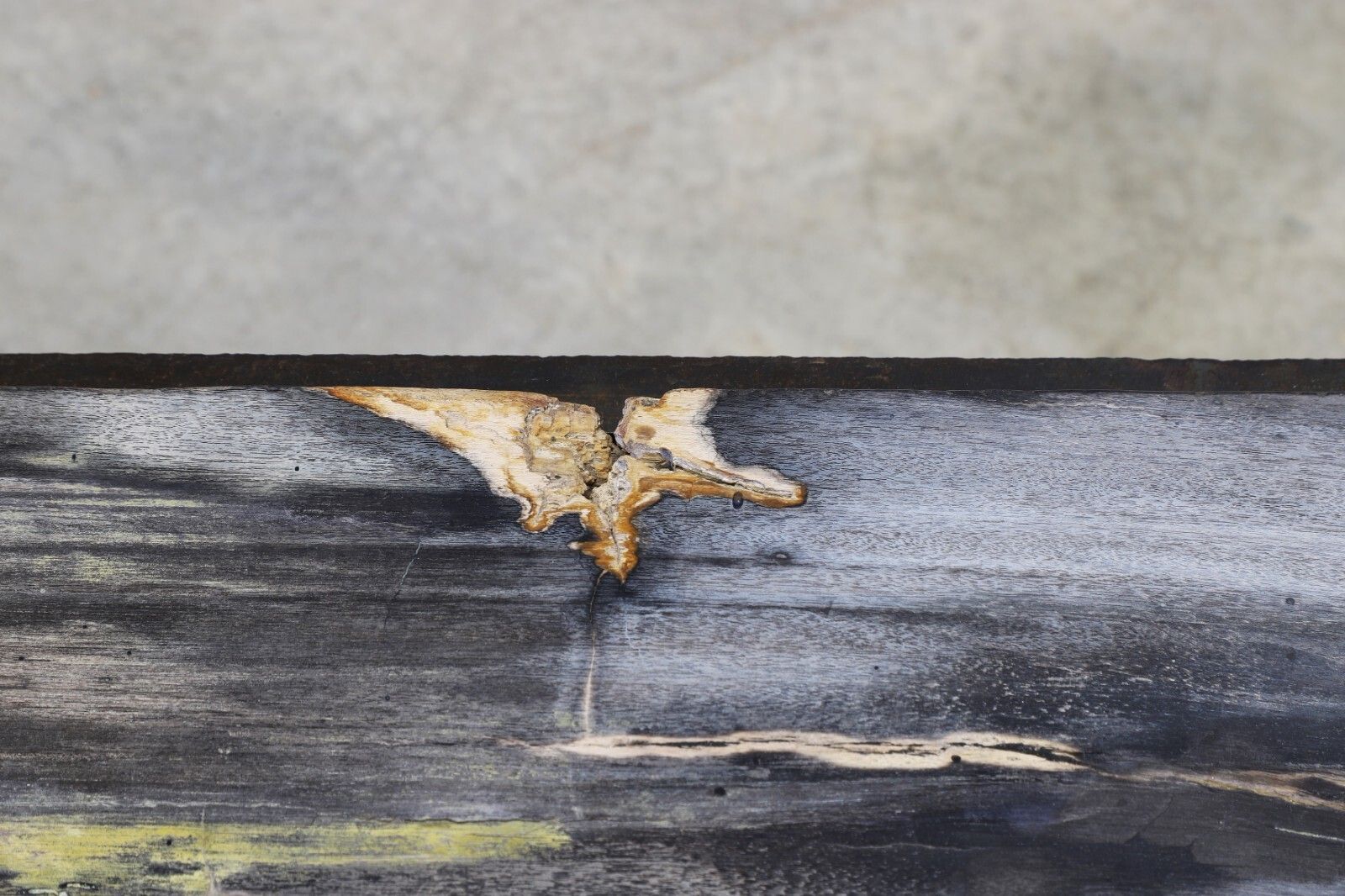 An Incredible Rare Brutalist Fossilised Wood Cast Iron Coffee Table photo Furniture