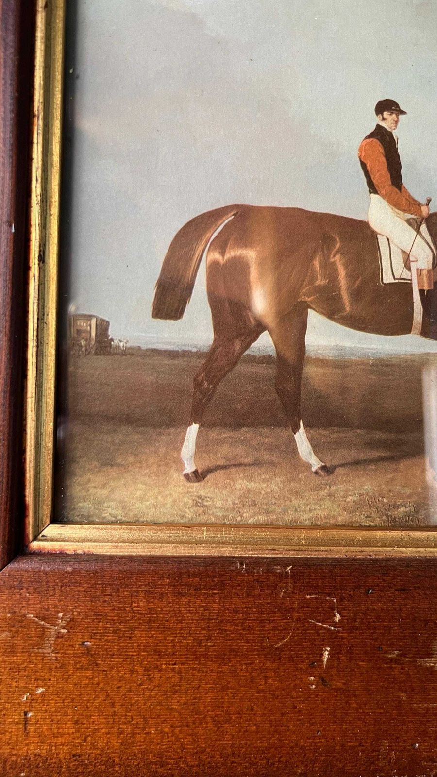 Elis   Equestrian 1900’s Picture After 1833 Painting Chestnut Horse By Abraham Cooper photo Art