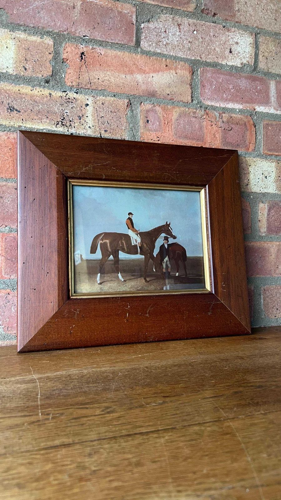 photo for sale Elis   Equestrian 1900’s Picture After 1833 Painting Chestnut Horse By Abraham Cooper